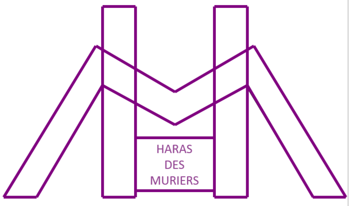 HARAS DES MURIERS logo