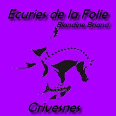 LES ECURIES DE LA FOLIE logo