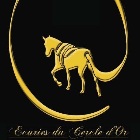  ECURIES DU CERCLE D OR logo