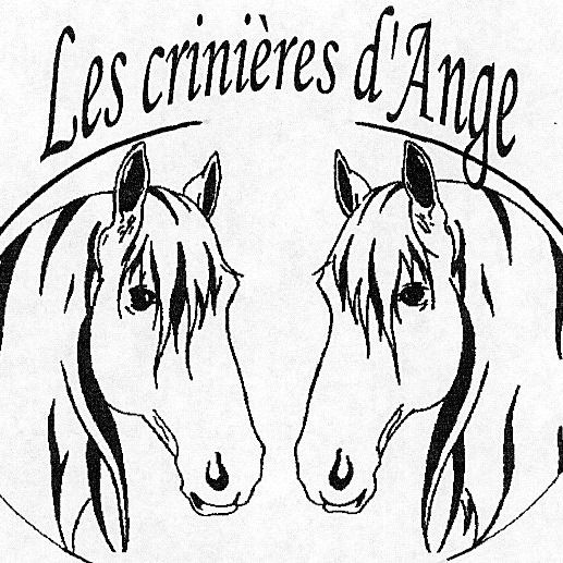 LES CRINIERES D ANGE logo