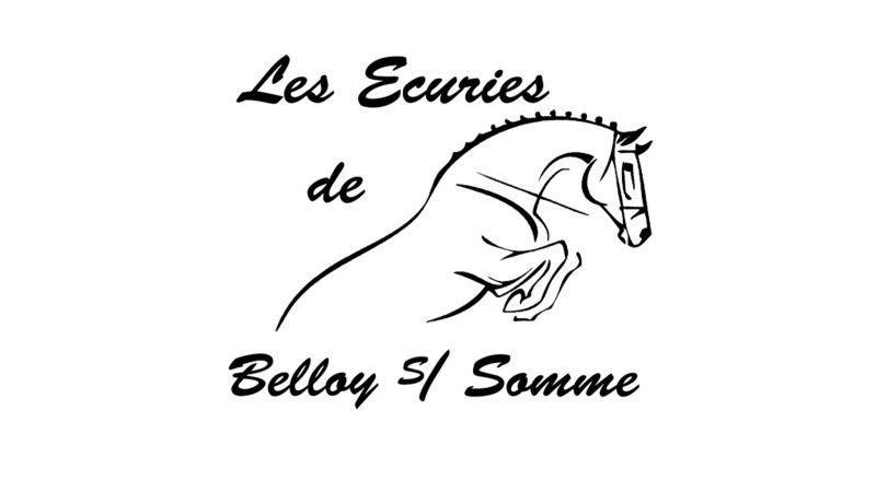 ECURIES  DE BELLOY logo