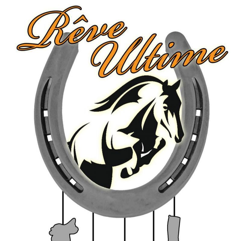 REVE ULTIME logo