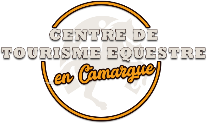 Logo de la structure Centre de  Tourisme  Equestre  BRENDA