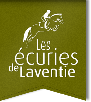 ECURIES DE LAVENTIE logo