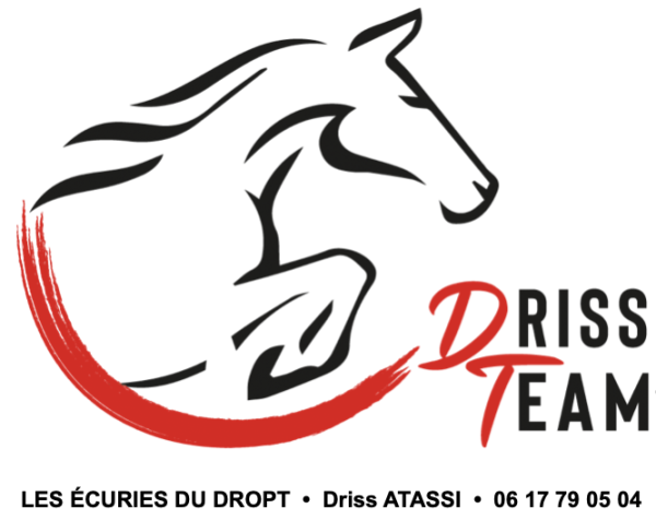 LES ECURIES DU DROPT logo