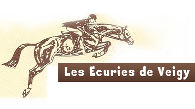 LES ECURIES DE VEIGY logo