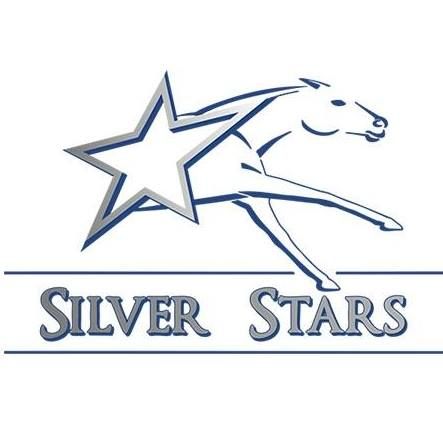 Logo de la structure SILVER STARS RANCH