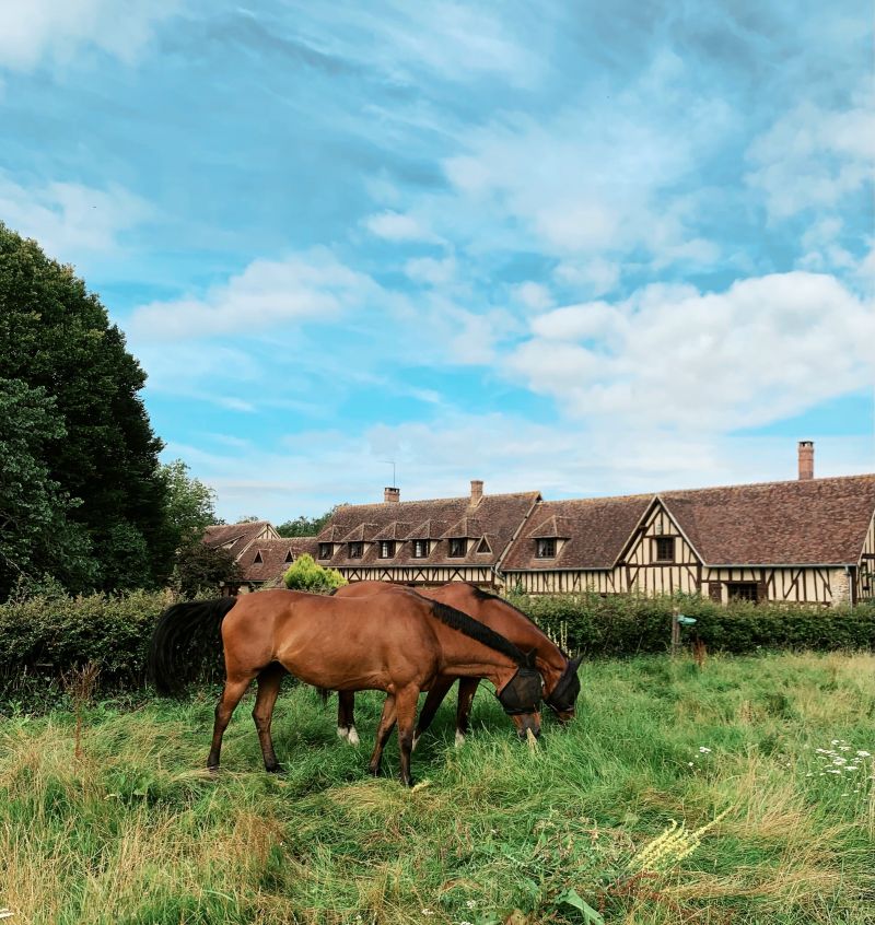 Haras de la Ferrandière logo