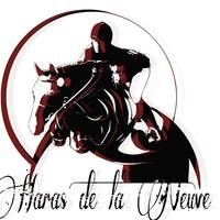 Logo de la structure HARAS DE LA NEUVE