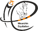 MEURCHIN EQUITATION logo