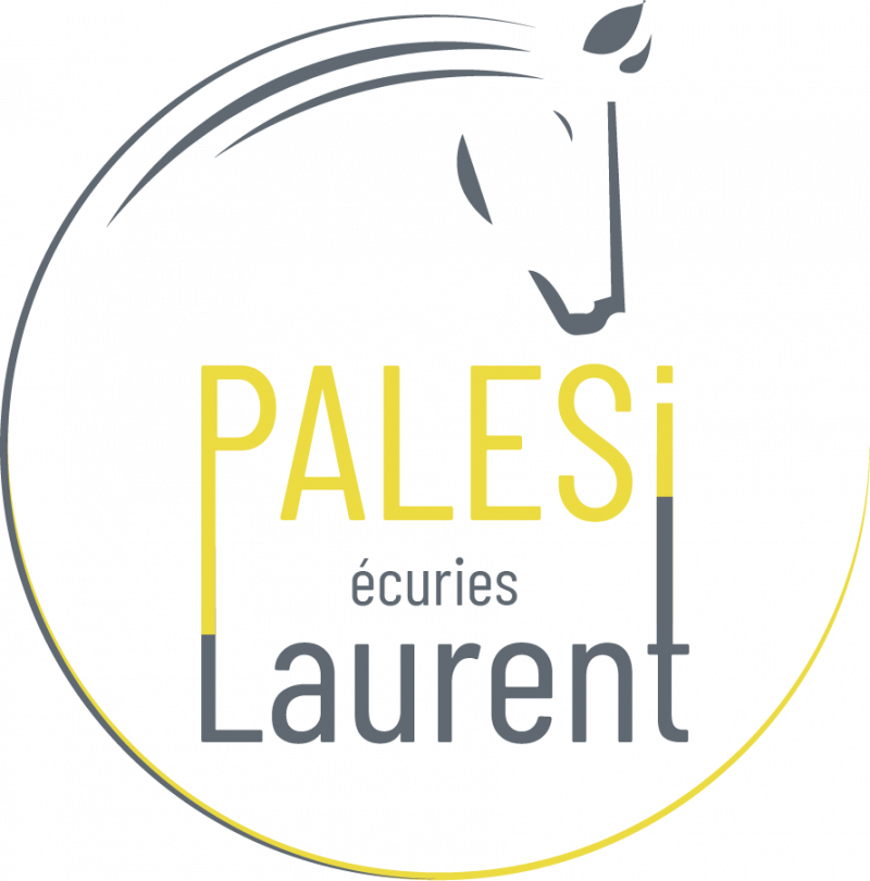 ECURIES LAURENT PALESI - CENTRE EQUESTRE DE CARNOULES logo
