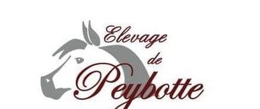 ELEVAGE DE PEYBOTTE logo