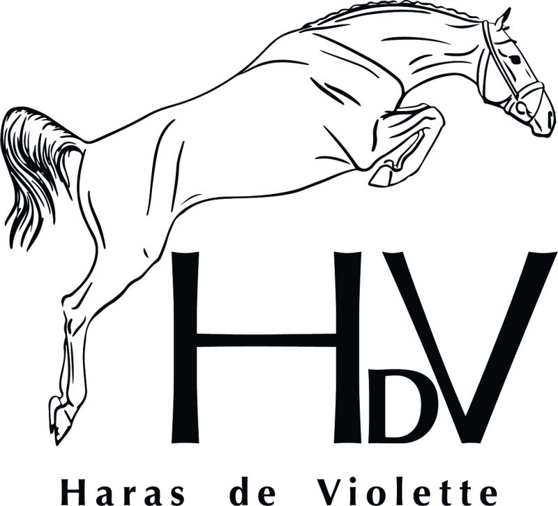 Haras de Violette logo