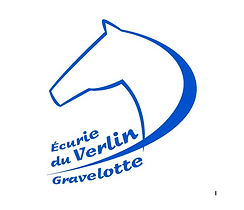 ECURIE DU VERLIN logo