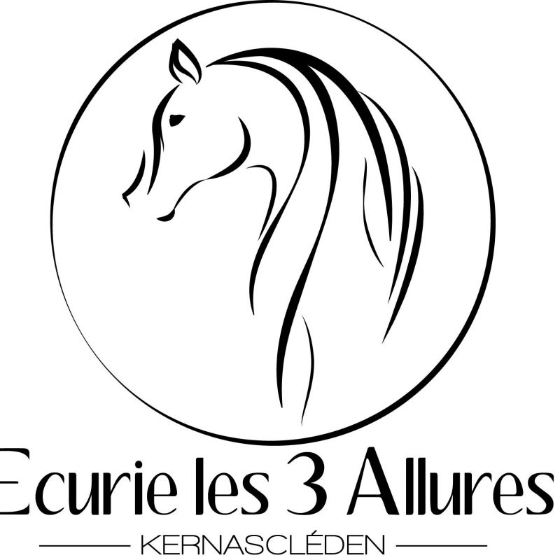 EARL ECURIES DES 3 ALLURES logo