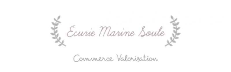 Écurie marine soule  logo