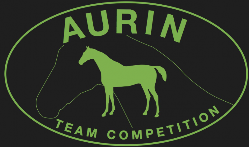 CENTRE EQUESTRE D' AURIN logo