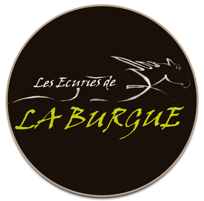 ECURIES DE LA BURGUE logo