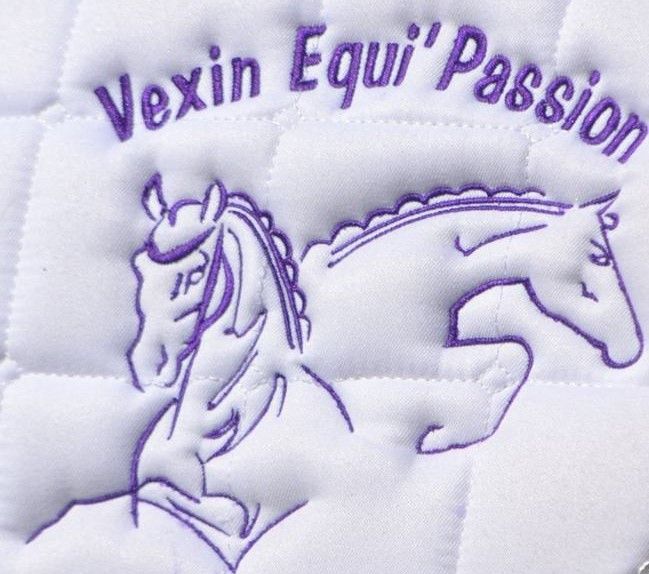 VEXIN EQUI PASSION logo