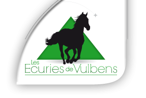 ECURIES DE VULBENS logo