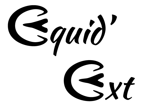 Logo de la structure Equid'Ext