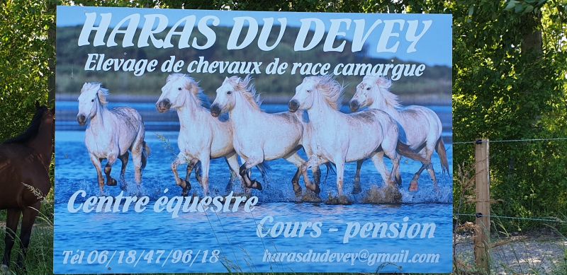 HARAS DU DEVEY logo