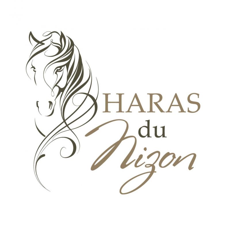 HARAS DU NIZON logo