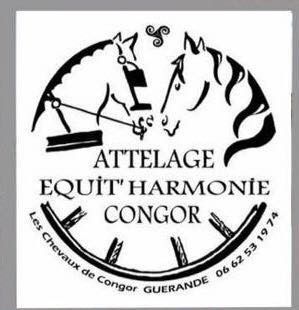 LES CHEVAUX DE CONGOR logo