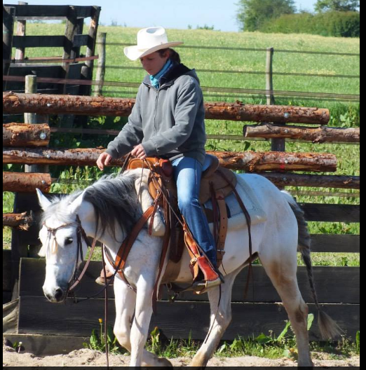 COUNTRY PONY RANCH logo