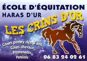 LES CRINS D OR logo