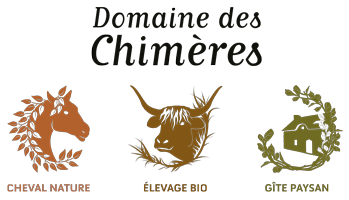 DOMAINE DES CHIMERES logo