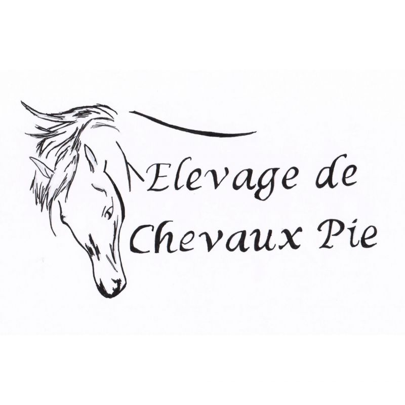 Élevage de chevaux pie  logo