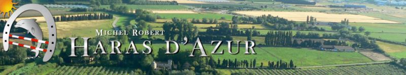 HARAS D AZUR logo