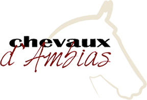 LES CHEVAUX D AMBIAS logo