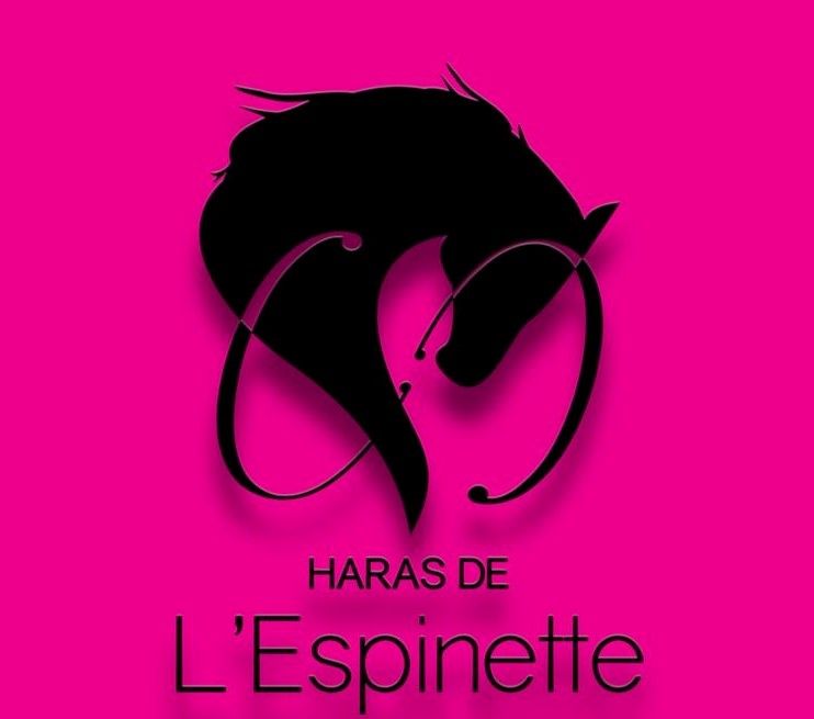 LE HARAS DE L' ESPINETTE logo