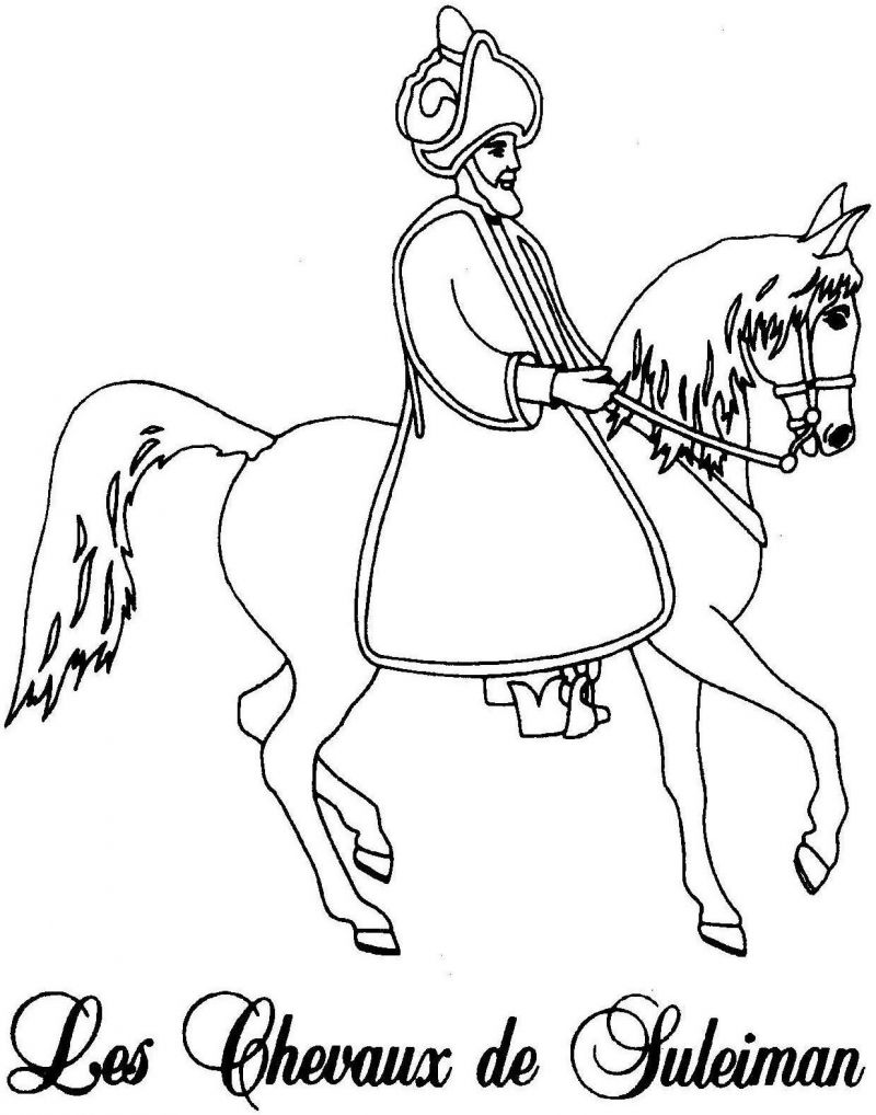 LES CHEVAUX DE SULEIMAN logo