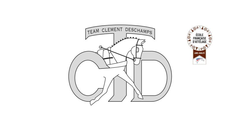 TEAM DESCHAMPS CLEMENT logo