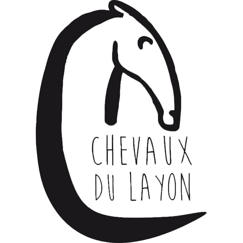 CHEVAUX DU LAYON logo