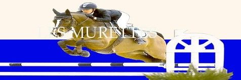 CENTRE EQUESTRE LES MURETTES logo