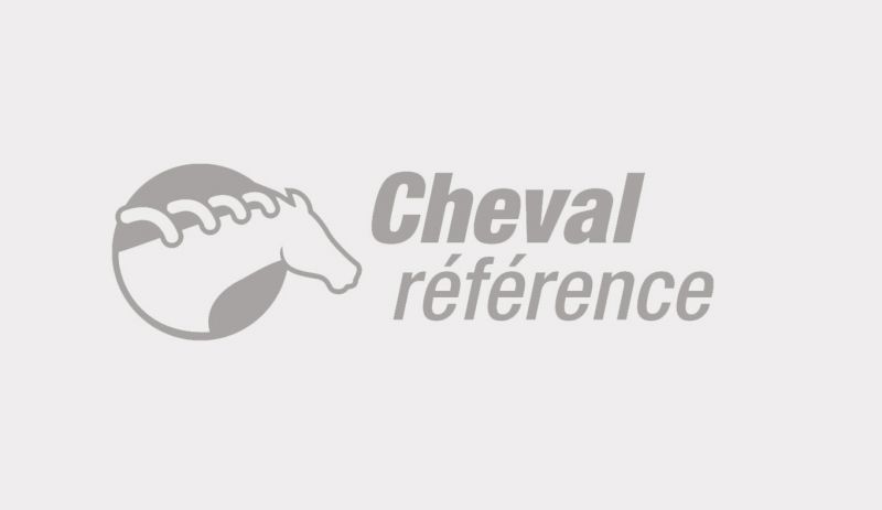 RANDO CHEVAL ET PONEY CLUB DE LA BRIERE logo