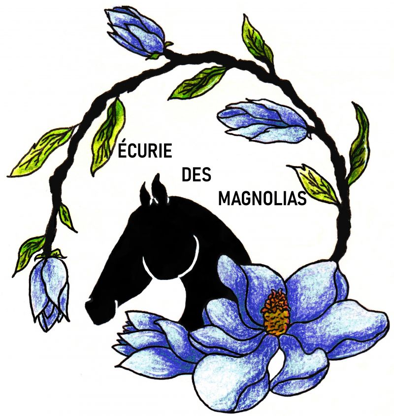ÉCURIE DES MAGNOLIAS logo