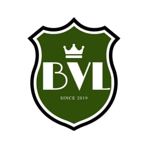 BVL HORSE TRAINING logo