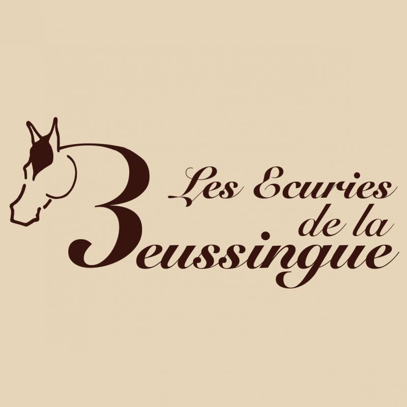 LES ECURIES DE LA BEUSSINGUE logo