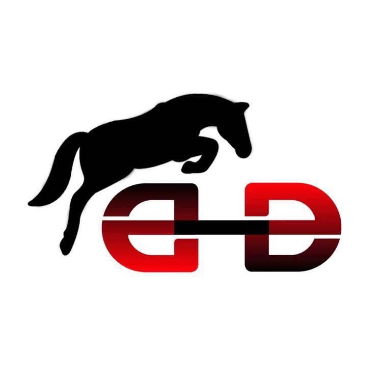 PONEY CLUB DE VIGOULET-  ECURIE DU BOIS DE BORDENEUVE logo