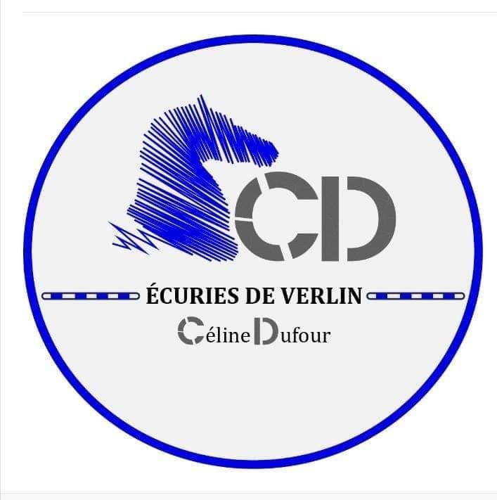LES ECURIES DE VERLIN logo