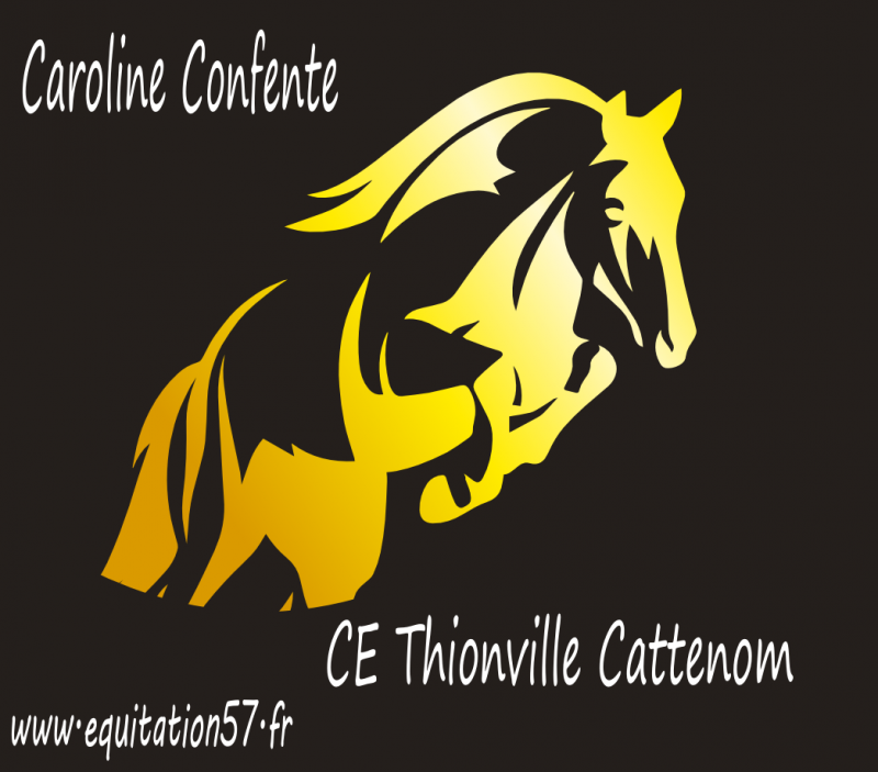 CENTRE EQUESTRE DE THIONVILLE CATTENOM logo