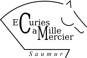 ECURIE MERCIER logo