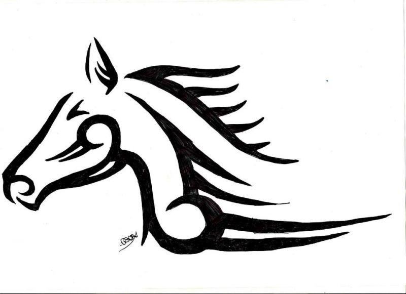 SALLES SUD EQUITATION logo