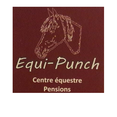 EQUI PUNCH logo