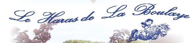 HARAS DE LA BOULAYE logo